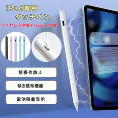 【ワイヤレス充電+Type-C急速充電】タッチペン iPad ペンシル スタイラスペン 極細 iPad 第10世代 8 7 6 第9世代 iPad Pro 11 12.9 インチ iPad パームリジェクション 磁気吸着充電式 途切れ/遅延/ズレ/誤操作防止