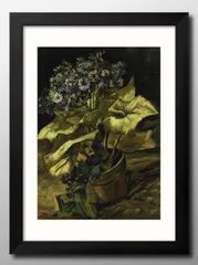 13181フィンセント ファン ゴッホ Cineraria A3 サイズ ポスター アート おしゃれ 絵画 インテリア 北欧 イラスト マット紙 艶消し アートパネル 額 フレーム デザイン 壁掛け ギフト 新築祝い ディスプレイ 