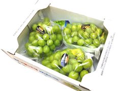 【冷蔵便】岡山産　シャインマスカット　約2ｋｇ（3～5房）ｘ2箱セット　ギフト　お中元