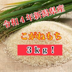 もち米　餅米　こがねもち　新潟米　米
