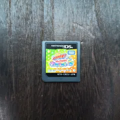 ニンテンドー DS 家庭教師ヒットマン REBORN!DS マフィア大集合 ボンゴレフェスティバル