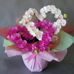 胡蝶蘭-白ピンクハート型 造花・光触媒コーティング