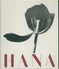 【都市】石元泰博　映像の現代８・帯・クリーヤカバー付　★★大幅に値下げしました 都市】石元泰博 映像の現代8・帯・クリーヤカバー付 大幅に値下げ