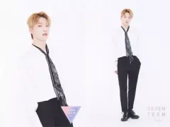 【中古】ポストカード(男性) ディノ ポストカードセット(2枚セット) 「SEVENTEEN CAFE 2019」