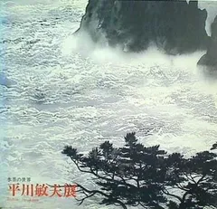 2025年最新】平川敏夫の人気アイテム - メルカリ