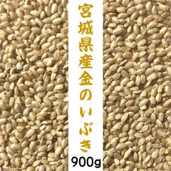 宮城県産 金のいぶき 900g 玄米食専用米 玄米ダイエット