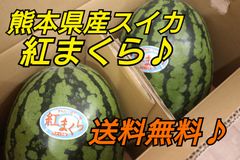熊本県産スイカ　紅まくら　2玉　1玉約7キロ~8キロ