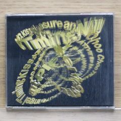 국내반 CD 나카니시 케이조/Keizo Nakanishi ■ SONGS [PICL1174/4988102172152]L24662