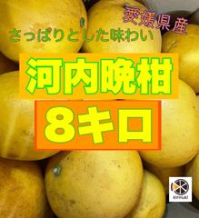 河内晩柑8キロ！