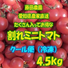 ミニトマト 割れ 愛知県産 4.5 kg 冷凍クール便 サイズMIX