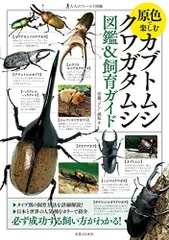 2024年最新】世界のクワガタムシの人気アイテム - メルカリ