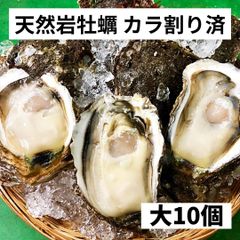 天然岩牡蠣 大10個 2.6～3.0ｋ （260～300ｇ×10個）カラ割り 殻付き 日本海産  生食  岩ガキ お中元 ギフト 贈答 バーベキュー