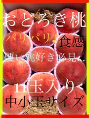 予約商品　８月中旬～9月中下旬にかけ順次発送予定。人気急上昇！！パリッパリ♪ 硬い桃好き必見！ 「木成り熟成・おどろき桃」のサムネイル