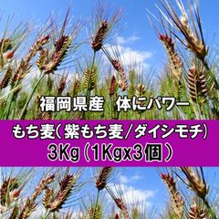 紫もち麦 福岡県産 3kg (1kg×3) もち麦 無添加 ダイシモチ 送料無料
