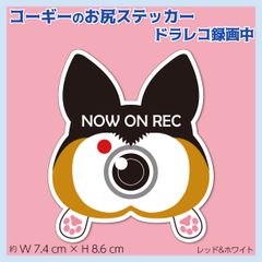 コーギーのお尻ステッカー トライ ドラレコ録画中アピール オリジナルデザイン