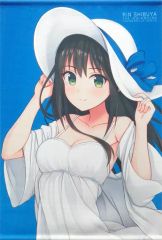 [중고] 동인 포스터·태피스트리·캘린더계