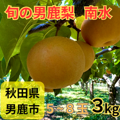男鹿梨「南水」3kg箱 【家庭用】  大将梨園　秋田県男鹿市産