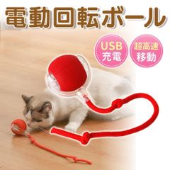 Item thumbnail for item 29d3932f-2b2a-41f5-bcbd-d13220b48615