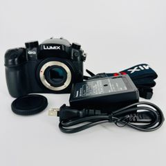 【シャッター回数4626】■ほぼ新品■ PANASONIC ルミックス GH3 ボディ  DMC-GH3-K