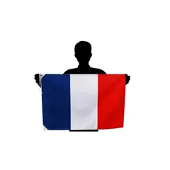 フランス国旗 L トリコロール 応援サイズ:50×75cm 高級テトロン製 日本製 1