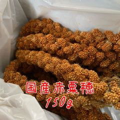 オーダー専用 農家さん直入【北海道産】粟の穂 300g 無農薬 無農薬 国産赤粟穂 300g - メルカリ