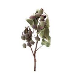 Item thumbnail for item 9156598c-3e62-46f7-8714-014cb5289557