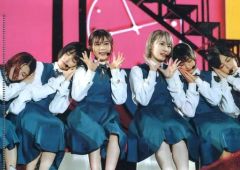 新品未開封 クリアファイル 欅坂46 櫻坂46 小林由依 菅井友香 渡邉理佐