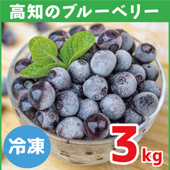 【2023年収穫・冷凍】高知県産 太陽の恵み さんさんブルーベリー 3kg