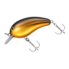 DAIWA - ダイワ ピーナッツ プロカラー4セット 橋本、内山、川村、草深 DAIWA（釣り） DAIWA/ダイワ PEANUT II PRO COLOR/ピーナッツ
