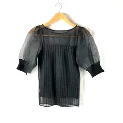 ナチュラルビューティーベーシック NATURAL BEAUTY BASIC カットソー ラメ シースルー パフスリーブ リブ 裏地付き 黒系 FRサイズ 2025091600036