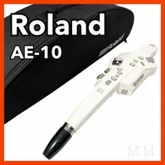 2025年最新】roland ae-10の人気アイテム - メルカリ