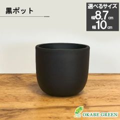 大きめ ユッカ 黒鉢付き 大きめ ユッカ 黒鉢付き ユッカ 大型 10号