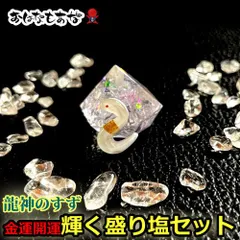 龍神のすず® 《anan掲載！おはなもあな限定》盛り塩｜光龍  盛り塩 と 金箔入り 白蛇 お守り セット 1年交換不要 厄年  厄除け プレゼント 女性 ギフト 玄関 トイレ 浄化 風水  パワーストーン インテリア 縁起物 幸運