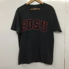 Champion チャンピオン Tシャツ 半袖 半袖カットソー プリントTシャツ クルーネックカットソー