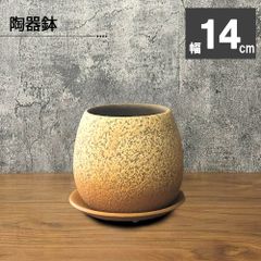 富貴蘭 万華鏡 2本立 まんげきょう T479 フウキラン フウラン 送料無料