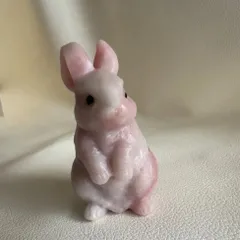 ひまわり様専用ページ⋆︎*