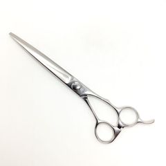 Item thumbnail for item 5a3106b8-0bbc-499d-b996-723da36c0e9e