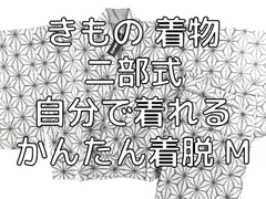 きもの 着物 Kimono 二部式 自分で着れる かんたん着脱 M 幾何学模様 グレー系
