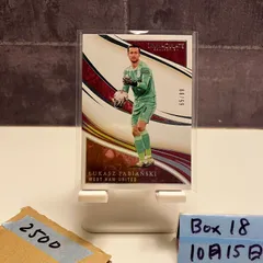 2020 Panini Immaculate Collection Lukasz Fabianski 65/99 West Ham United FC カード