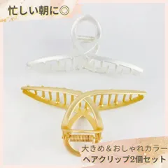 【残り3点】ヘアクリップ 2個セット 大きめ ゴールド シルバー 強力スプリング 髪まとめ しっかりホールド ヘアアクセサリー おしゃれ 時短スタイリング 結婚式 パーティー 通勤 旅行用
