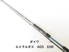 2025年最新】ags ガイドの人気アイテム - メルカリ