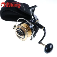 ソルティガ20000H (新品オッズポート10号付) ソルティガ20000H (新品オッズポート10号付) ソルティガ20000H