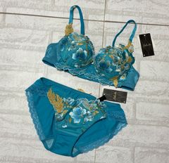 ❣️値下げ❣️サルート　23グループ　D75 RP ブラ&amp;ショーツセット Saluteサルート ブラショーツセット新品未使用 ブラD75 ショーツL