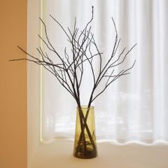 Item thumbnail for item 542999de-f53b-40d0-bb67-7cb909466951