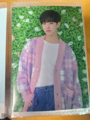 セブチ ホシ SEVENTEEN 2019 JAPAN TOUR 'HARU' トレーディングカード