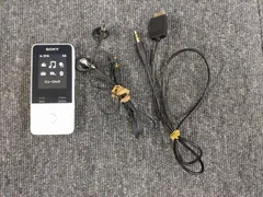 SONY NW-S315 WALKMAN 16GB ブラック　新品未使用 NW-S315 B」の人気商品一覧 | 安い商品を通販サイトから探す