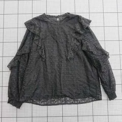 ◇ ⊂ any SiS エニィスィス 透け柄 長袖 シアーシャツ サイズ2 グレー系 レディース E  【1509190008326】