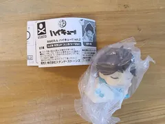 未使用　おねむたん ハイキュー!! Vol.2 にどねセカンドユニカラーVer. 及川 徹 【E4025-001】▶110