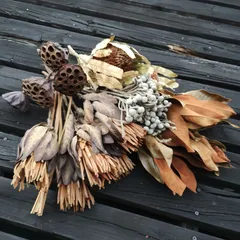 2026年最新】バンクシア スワッグの人気アイテム - メルカリ