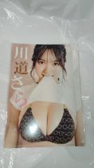 川口春奈　クリアファイル ☆非売品☆ 川口春奈 クリアファイル A4サイズ CROP社 - メルカリ